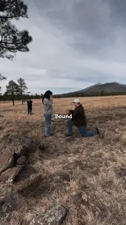 Falling in love edit