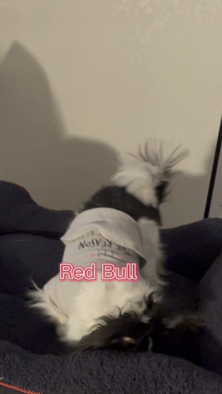 Red Bull