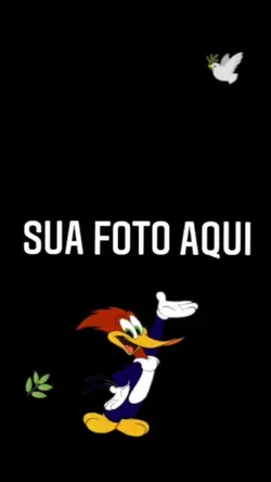 soltando o pancadão 