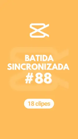 Sincronizada 88