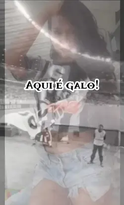 Aqui é galo