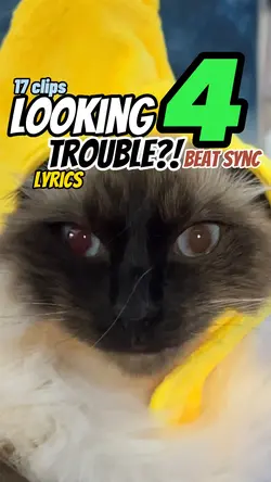 Looking for trouble?