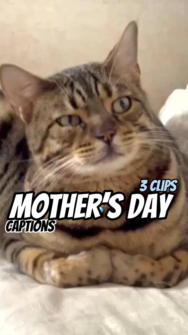 Mother’s Day