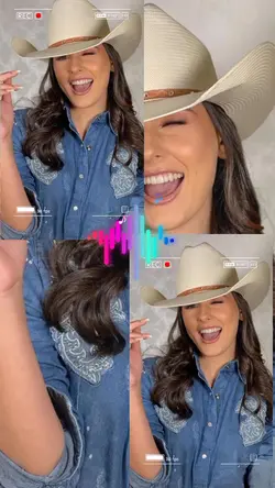 Boiadeira 