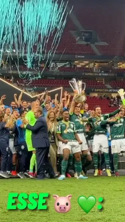 PALMEIRAS 