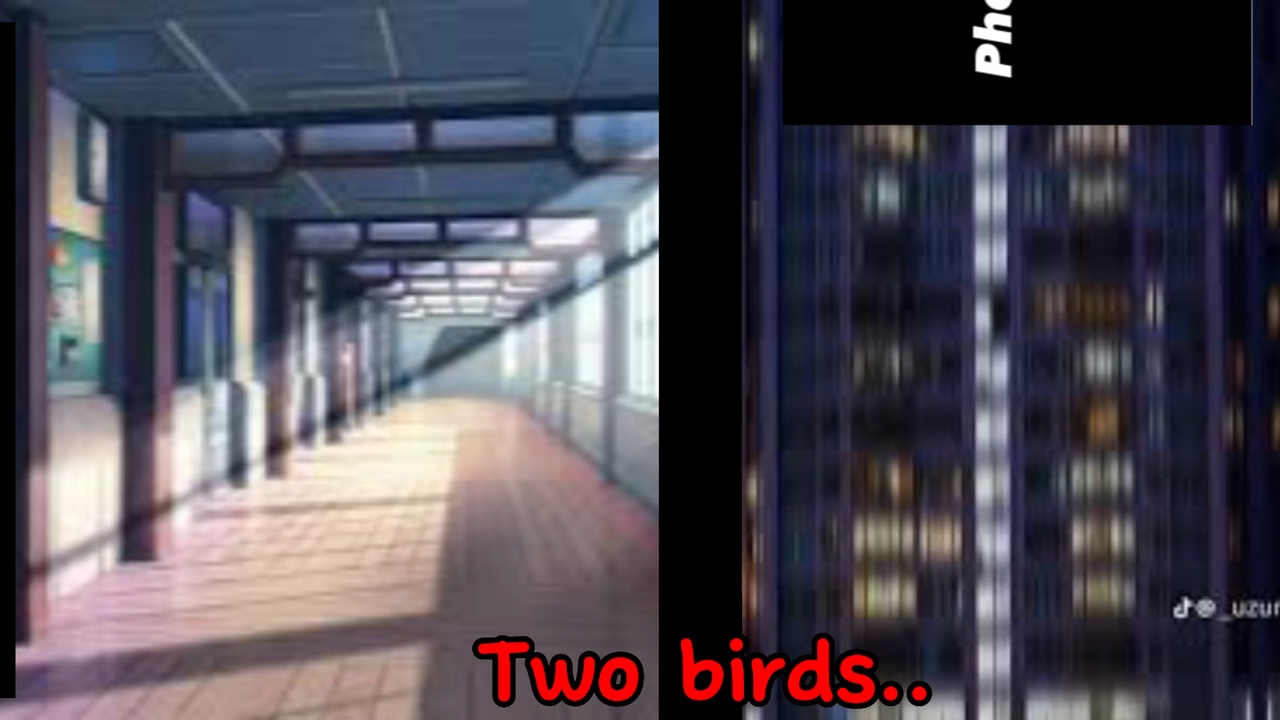 Dos pájaros...