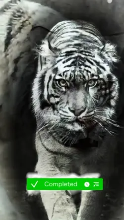 Animal 3D