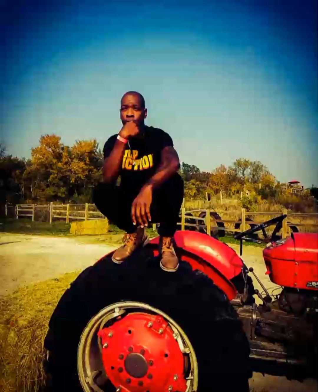 Cover Picture
