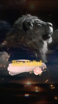Boa noite!|#boanoite