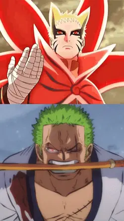 Naruto vs Zoro 