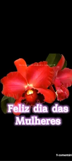 Feliz dia das Mulher