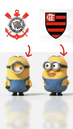 ZOE SEU AMIGO
