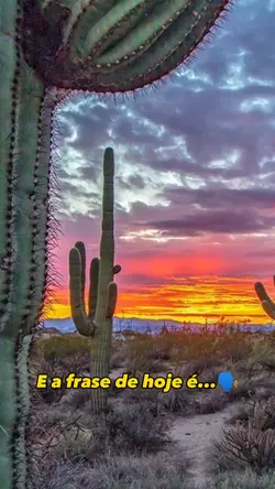 Frase do dia|Bom dia