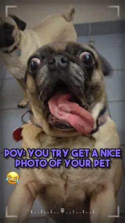 Try get a nice photo