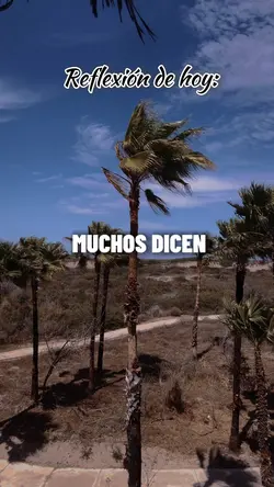 Los tiempos de Dios⏳