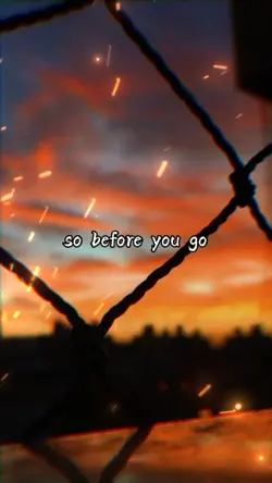 Before You Go