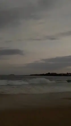 Paz.