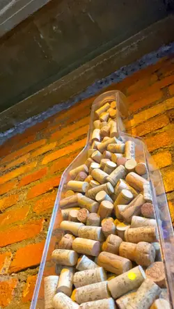 Música calma + Vídeo