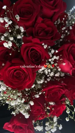 valentine’s day🤍