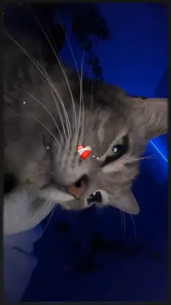 amor que não machuca