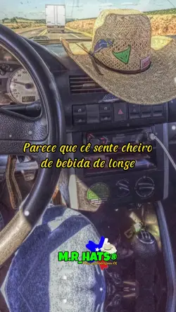 aow modão apaixonado