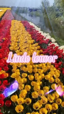 Lindo louvor