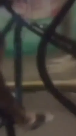 Eterna sacanagem