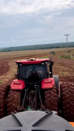 Diab0 da Tasmânia! 🤣