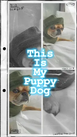 This is my Puppy Dog