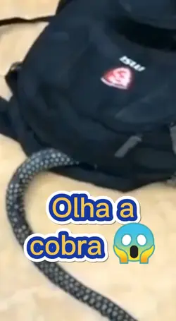 Olha a cobra 