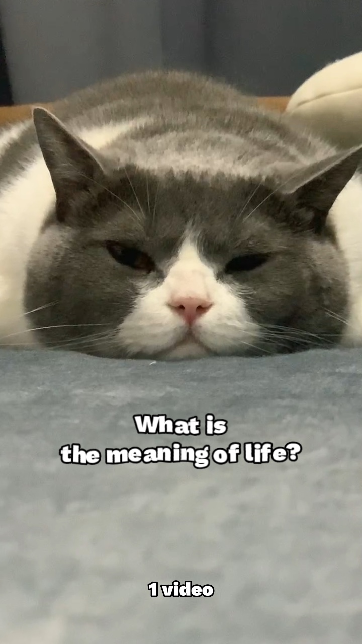 Significado de la vida