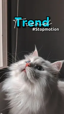 STOPMOTION