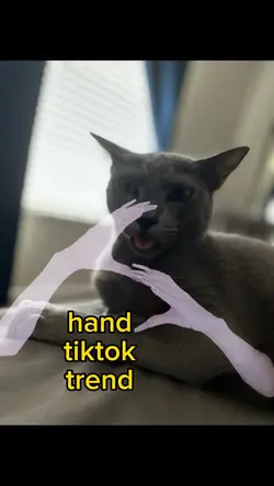 goofy hand trend