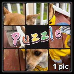 Puzzle 2 🧩 