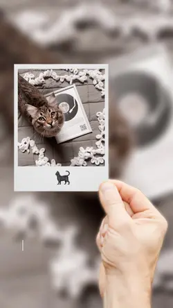 Pet Picture