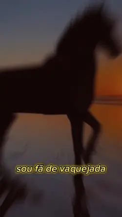 sou fã de vaquejada 