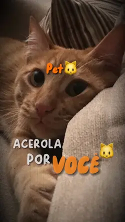 Acerola por você 🐱