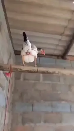 Apaixonada por você😂