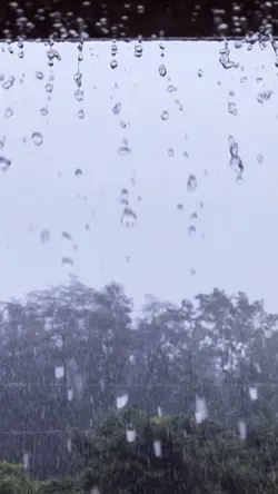 Rain Aesthetic