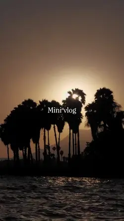 MINI VLOG