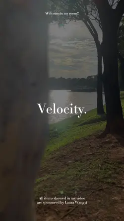 VELOCITY