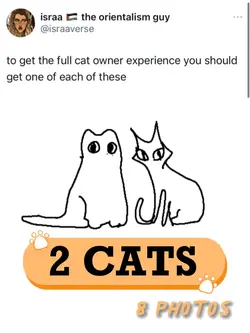 2 Cats
