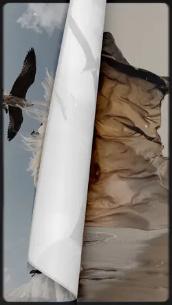 flip pages in a book