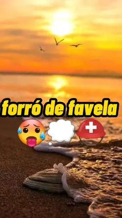 forró de favela 