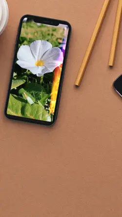 Vídeo dentro do celu