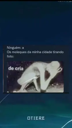 "de cria" 
