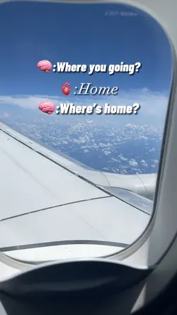 My home❤️🇩🇴