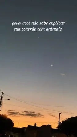 vocês gostam de anim