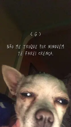 Letras de acordo 