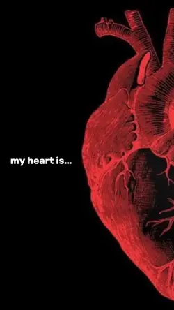 my heart is…